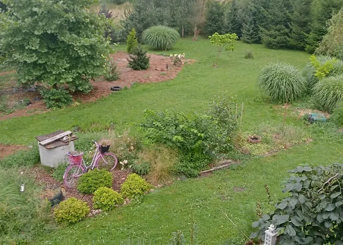 Drewniana * Stare Budy (Grodzisk Mazowiecki)